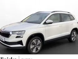 Moonweiß metallic Gebraucht 2024 Skoda Karoq Selection SUV | 29.420 € (Guter Preis)