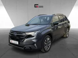 M) (grau Gebraucht 2025 Subaru Forester Platinum SUV | 42.890 € (Teuer)