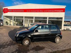 Schwarz Gebraucht 2000 VW Lupo Basis Kleinwagen | 599 € (Superpreis)
