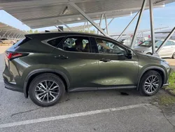 Grün Gebraucht 2024 Lexus NX350h SUV | 49.950 € (Guter Preis)