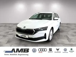 Moonweiss metallic Gebraucht 2025 Skoda Octavia Selection Kombi | 29.930 € (Superpreis)