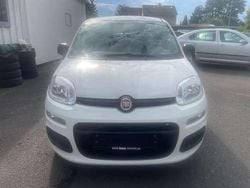 Colore esterno (weiss) Gebraucht 2015 Fiat Panda Pop Kleinwagen | 6.390 € (Fairer Preis)