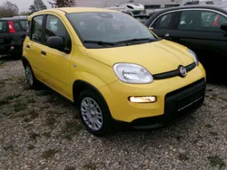 Gelb Neu 2025 Fiat Panda Kleinwagen | 14.980 €