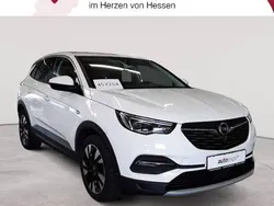 Jade weiß Gebraucht 2020 Opel Grandland X Innovation SUV | 12.290 € (Fairer Preis)
