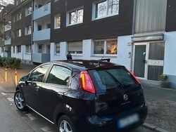 Blau Gebraucht 2012 Fiat Punto Kleinwagen | 1.500 € (Superpreis)