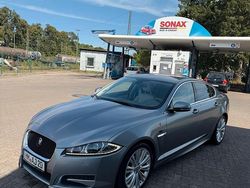 Grau Gebraucht 2013 Jaguar XF Limousine | 16.000 €