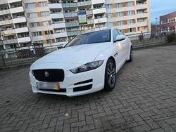 Weiß Gebraucht 2017 Jaguar XE Limousine | 11.999 €
