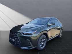Norigrün Neu 2025 Lexus NX350h SUV | 49.950 € (Guter Preis)
