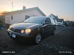 Schwarz Gebraucht 2002 VW Polo Kleinwagen | 1.200 € (Guter Preis)