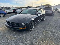 Schwarz Gebraucht 2006 Ford Mustang | 7.500 € (Fairer Preis)