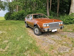 Braun Gebraucht 1984 AMC Eagle Kombi | 14.000 €