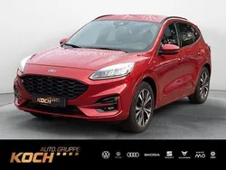 Rot Gebraucht 2020 Ford Kuga ST-Line SUV | 19.930 € (Etwas zu teuer)