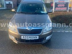 Braun Gebraucht 2013 Skoda Roomster Fresh Van / Kleinbus | 8.990 € (Etwas zu teuer)