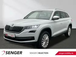 Weiß Gebraucht 2021 Skoda Kodiaq Style SUV | 35.880 € (Etwas zu teuer)