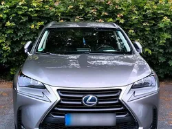 Grau Gebraucht 2015 Lexus NX300h SUV | 21.800 €