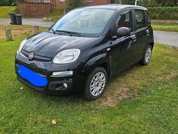 Schwarz Gebraucht 2016 Fiat Panda Kleinwagen | 5.700 €