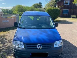 Blau Gebraucht 2010 VW Caddy Life Van / Kleinbus | 4.200 € (Fairer Preis)