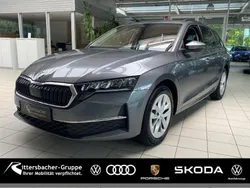 Grau Gebraucht 2024 Skoda Octavia Selection Kombi | 31.490 € (Guter Preis)