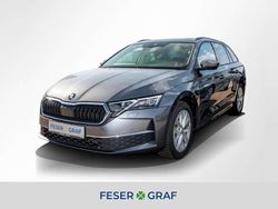 Graphitegrau Gebraucht 2024 Skoda Octavia Selection Kombi | 28.990 € (Guter Preis)