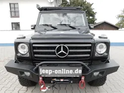 Mercedes G320