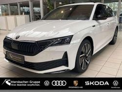 Candyweiss Gebraucht 2025 Skoda Octavia SportLine Kombi | 30.990 € (Fairer Preis)
