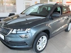 Grau Gebraucht 2019 Skoda Karoq Ambition SUV | 16.490 € (Guter Preis)