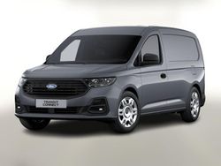 Comet grey Neu 2025 Ford Transit Trend Van | 31.458 € (Guter Preis)