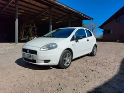 Weiß Gebraucht 2011 Fiat Punto Pop Kleinwagen | 2.999 € (Fairer Preis)