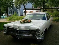 Weiß Gebraucht 1966 Cadillac Fleetwood Limousine | 19.900 €