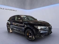 Schwarz Gebraucht 2022 Alfa Romeo Stelvio Quadrifoglio SUV | 59.900 € (Etwas zu teuer)