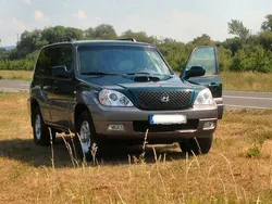 Grün metallic Gebraucht 2007 Hyundai Terracan SUV | 6.900 €