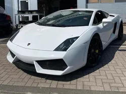 Weiß Gebraucht 2008 Lamborghini Gallardo Coupé | 95.000 € (Fairer Preis)