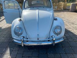 Weiß Gebraucht 1963 VW Käfer Coupé | 10.000 €