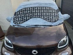 Braun Gebraucht 2018 Smart ForTwo Cabrio Cabrio | 15.100 € (Fairer Preis)