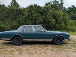 Blau Gebraucht 1981 Chevrolet Caprice Limousine | 6.999 €