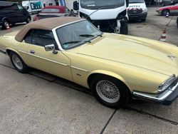 Beige Gebraucht 1993 Jaguar XJS Cabrio | 8.900 €