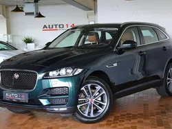 Grün Gebraucht 2018 Jaguar F-Pace Portfolio SUV | 18.900 € (Fairer Preis)