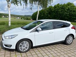 Weiß Gebraucht 2016 Ford Focus Business Edition Limousine | 7.500 € (Fairer Preis)