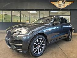 Carpathian/storm grey Gebraucht 2018 Jaguar F-Pace Portfolio SUV | 22.900 € (Fairer Preis)