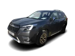 Grau Neu 2024 Subaru Forester Active SUV | 46.706 € (Etwas zu teuer)