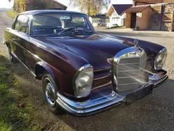 Rot Gebraucht 1966 Mercedes 250 Coupé | 38.900 €