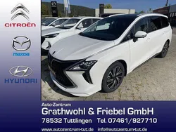Forthing/tourwhite Neu 2025 DFSK Forthing 4 Van / Kleinbus | 32.990 € (Etwas zu teuer)
