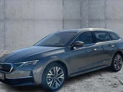Grau Gebraucht 2025 Skoda Octavia Selection Kombi | 39.870 € (Etwas zu teuer)