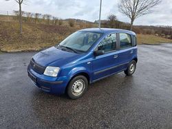 Blau Gebraucht 2004 Fiat Panda Active Kleinwagen | 1.499 € (Fairer Preis)