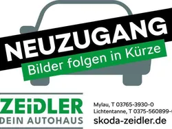 Quarzgrau Gebraucht 2021 Skoda Kamiq Clever SUV | 20.950 € (Fairer Preis)