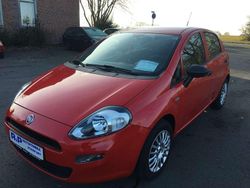 Rot Gebraucht 2017 Fiat Punto Basis Kleinwagen | 6.500 € (Etwas zu teuer)