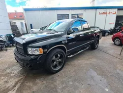 Schwarz Gebraucht 2005 RAM 1500 Abholung | 12.400 €