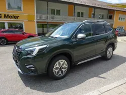 Grün Neu 2024 Subaru Forester Comfort SUV | 38.999 € (Fairer Preis)