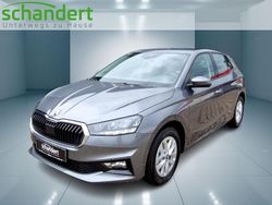 Neu 2025 Skoda Fabia Selection Limousine | 23.770 € (Fairer Preis)
