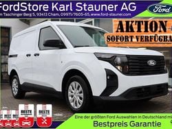 Frozen white Neu 2025 Ford Transit Van / Kleinbus | 21.634 € (Guter Preis)